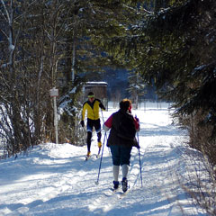 cross country ski equipment